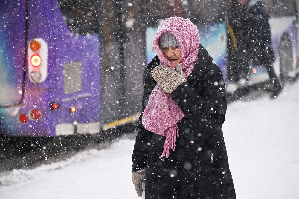 Фотография автора Коваленко Елена