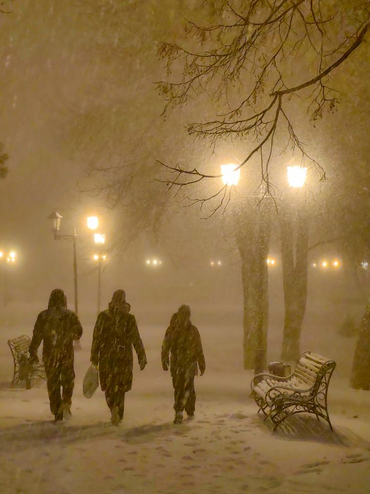 Photograph by Igor M.