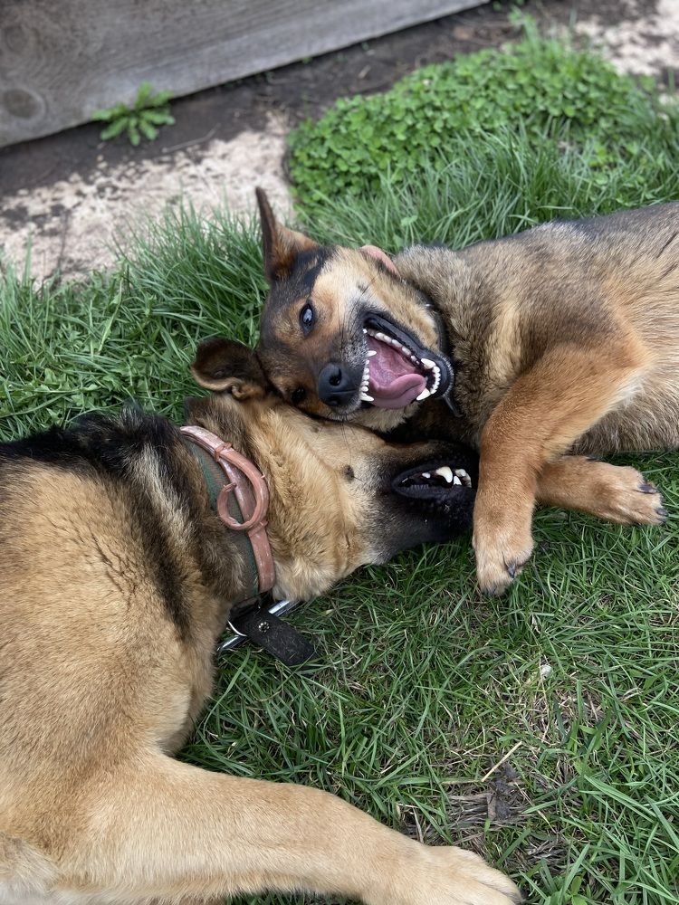 Photograph by Наталья Душакова