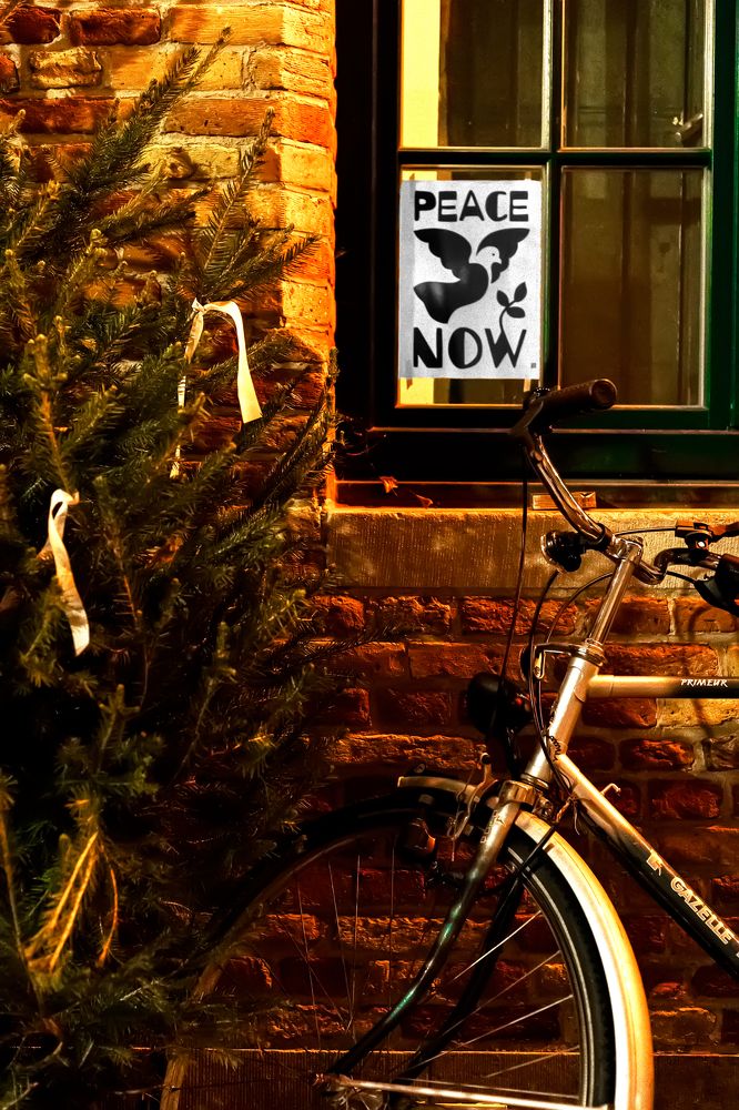 Фотография автора tiago Passos