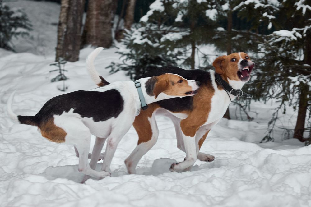 Photograph by Владислав Данилов