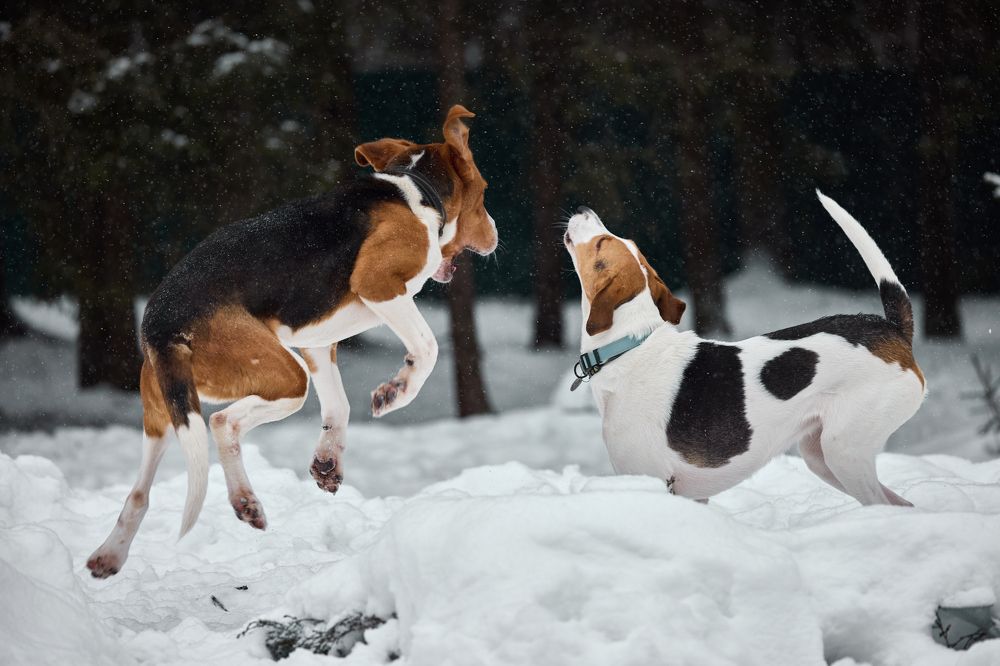 Photograph by Владислав Данилов