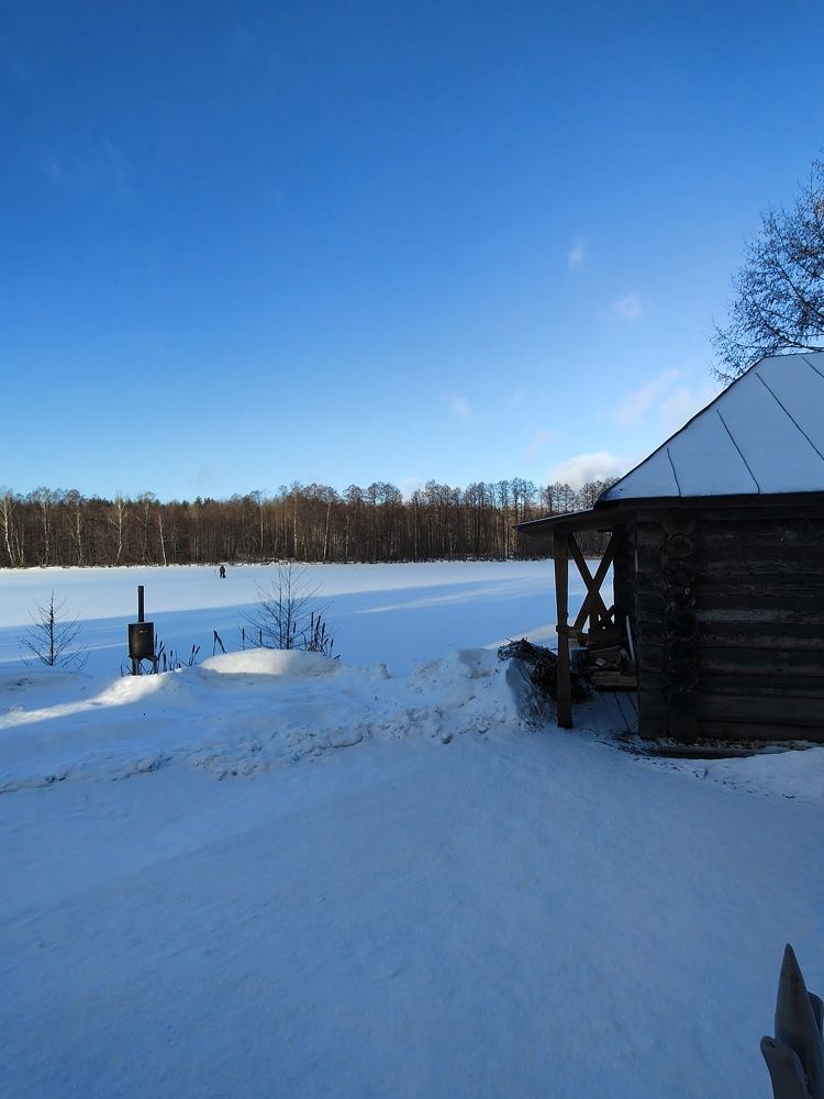 Photo #11626838