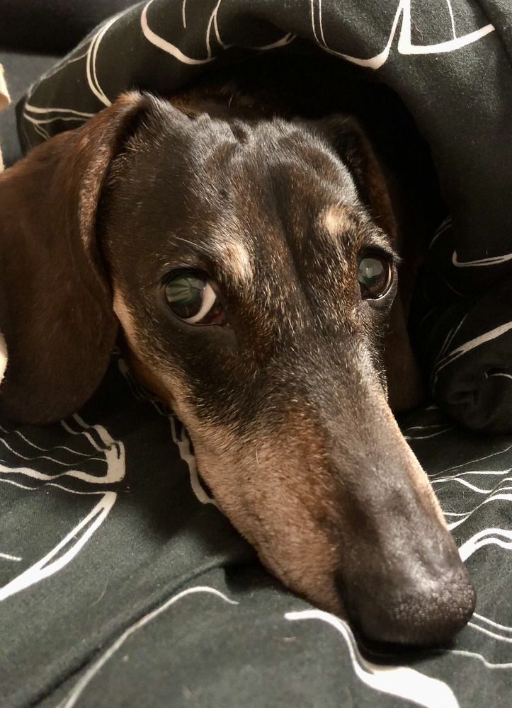 Photograph by Галина Пименова