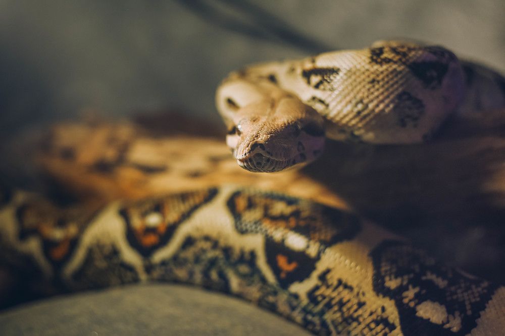 Photograph by Динара Зуйкова