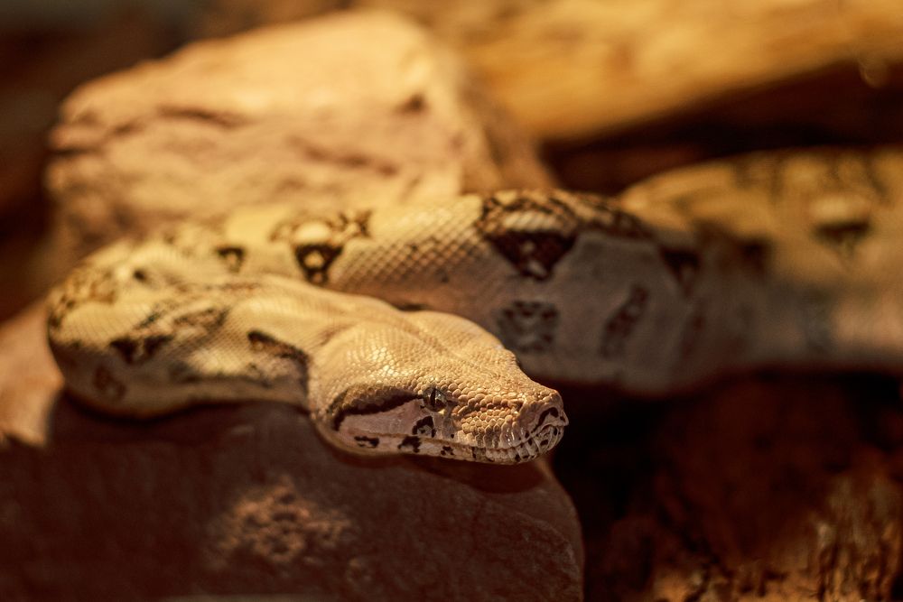 Photograph by Динара Зуйкова