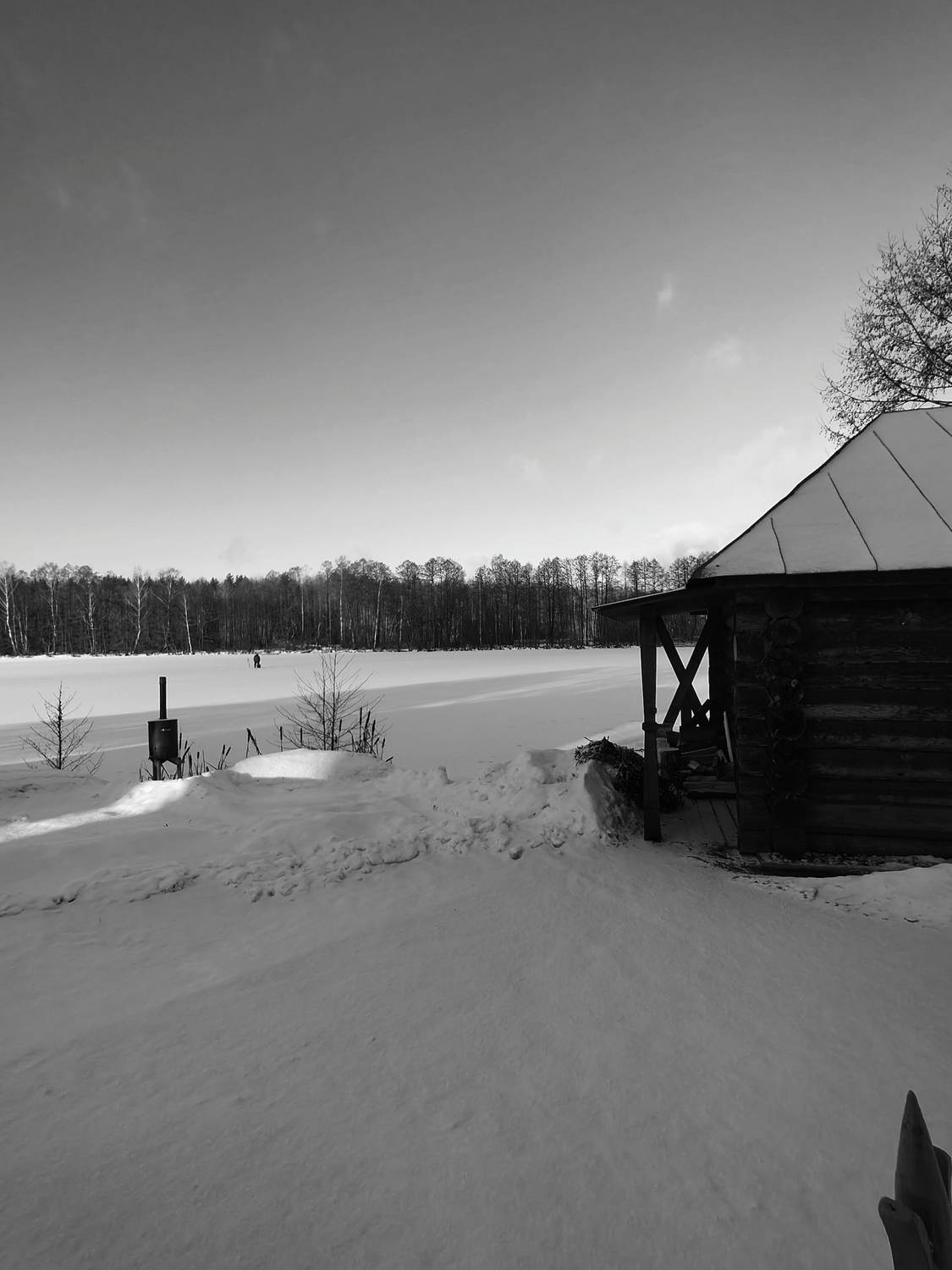 Photo #11626888