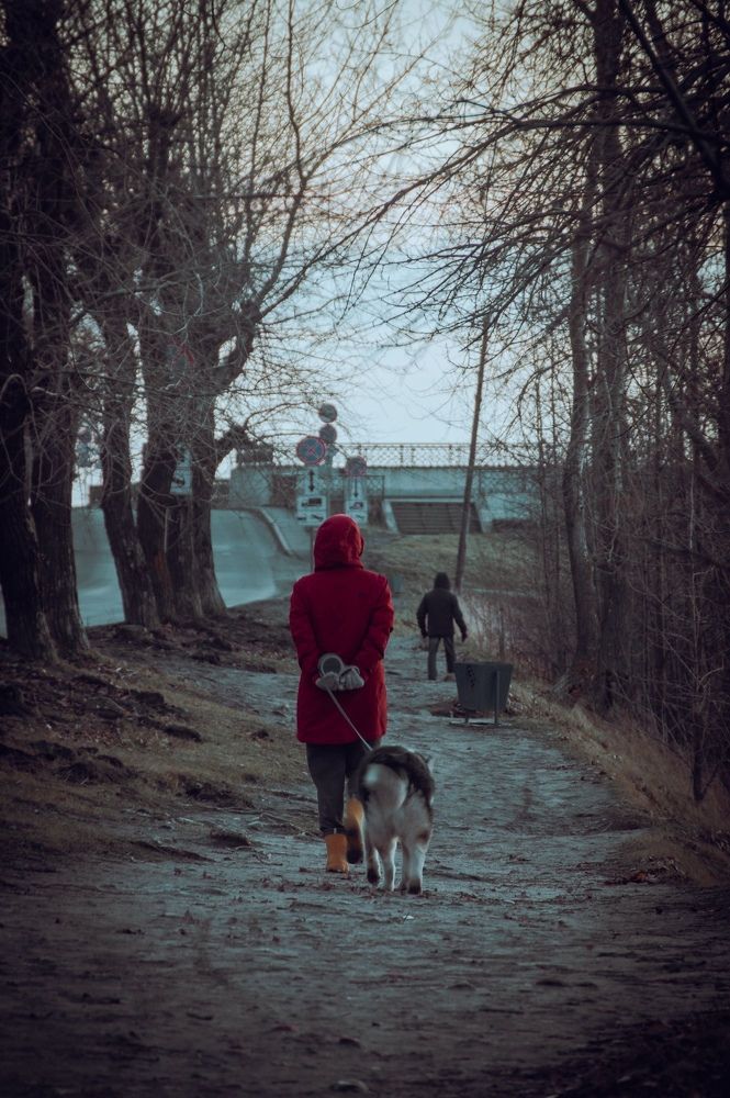 Фотография автора Евгений Шубин