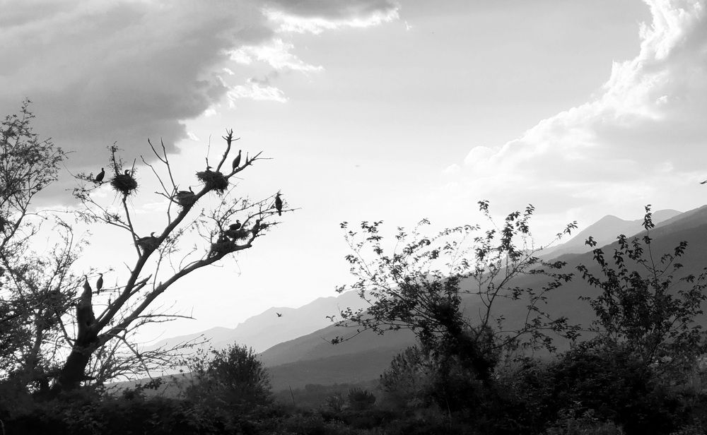 Photograph by Viktorova