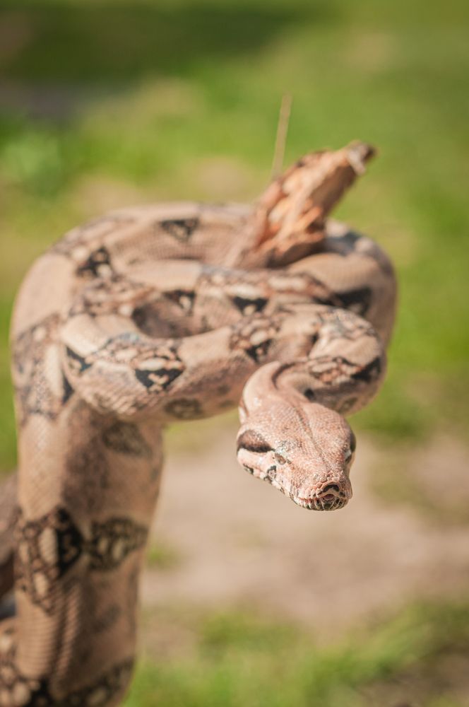 Photograph by Динара Зуйкова