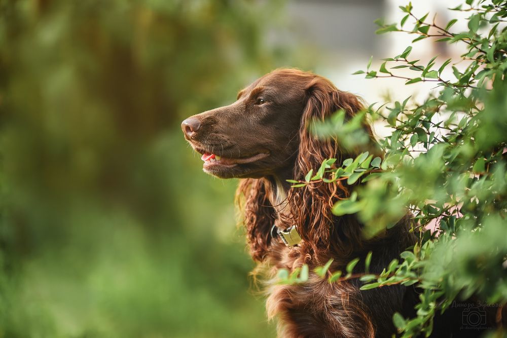 Photograph by Динара Зуйкова