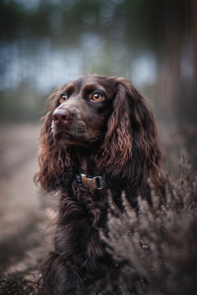 Photograph by Динара Зуйкова