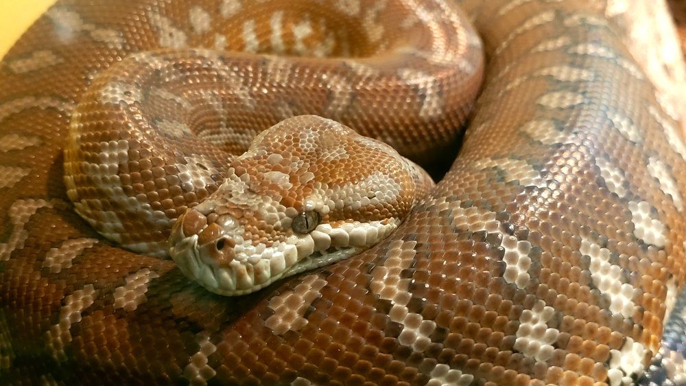 Photograph by claudia