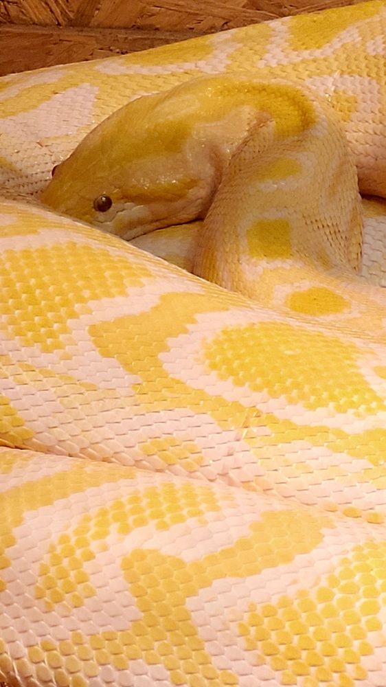 Photograph by claudia