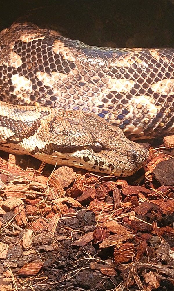 Photograph by claudia