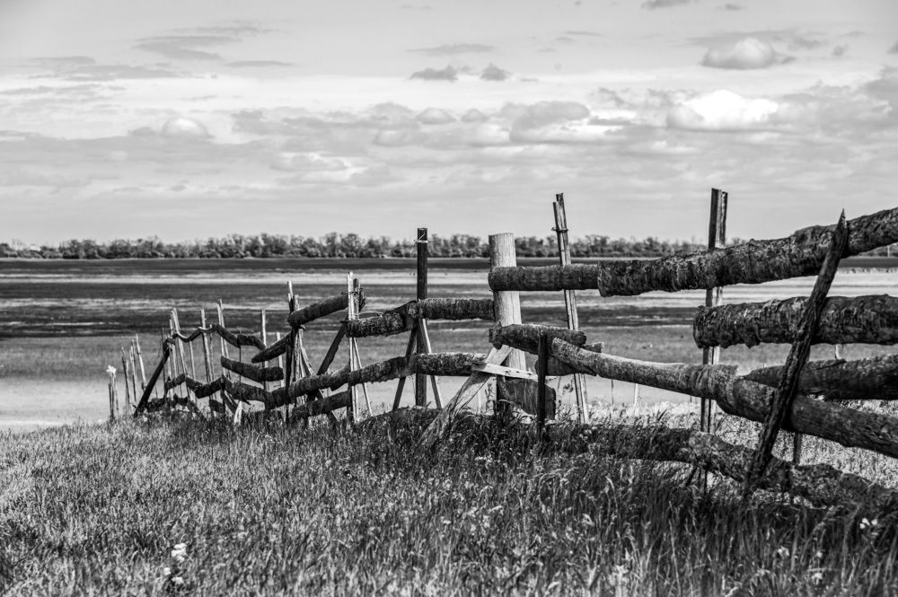 Photograph by Юлия Ковальчук