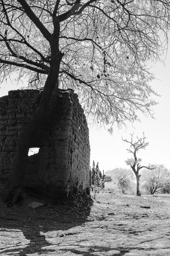 Photograph by Mosqueda Ruben