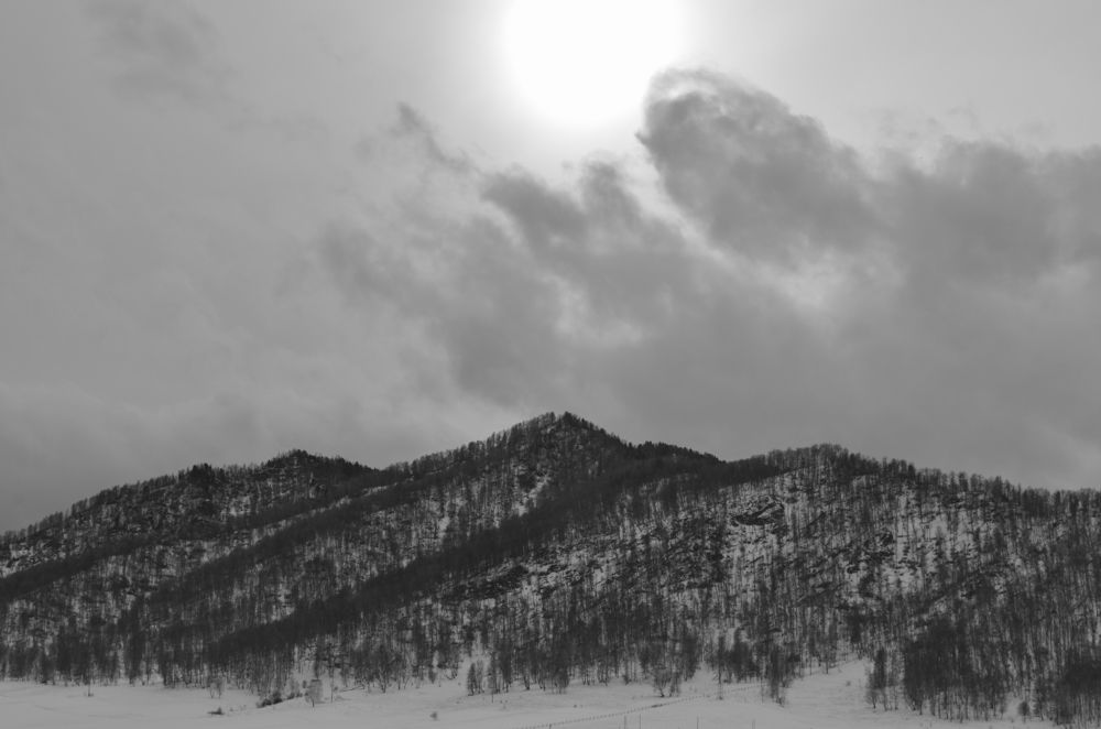 Photograph by Татьяна Герасимцева