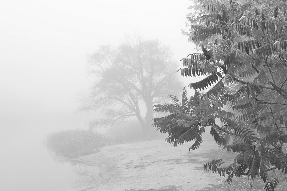 Photograph by Валерий Черняк