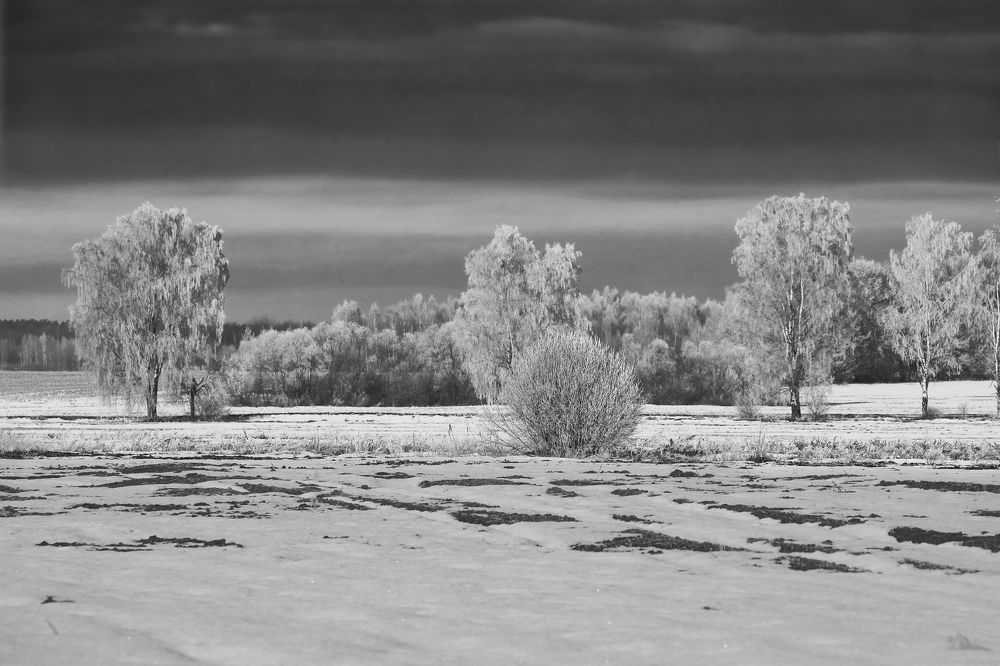 Морозный день.