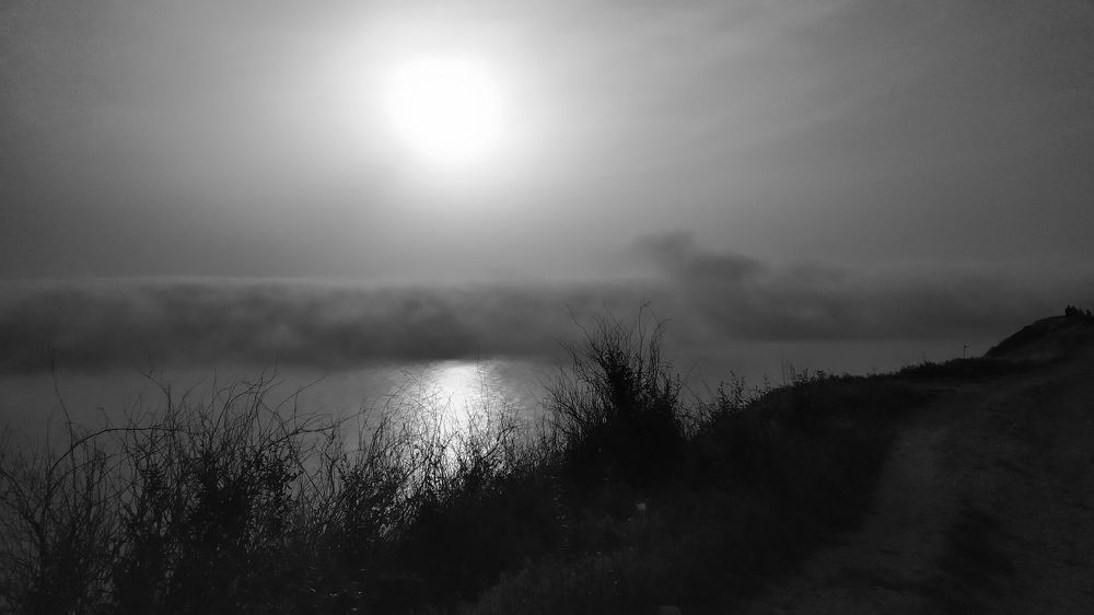 Photograph by Елена Смирнова