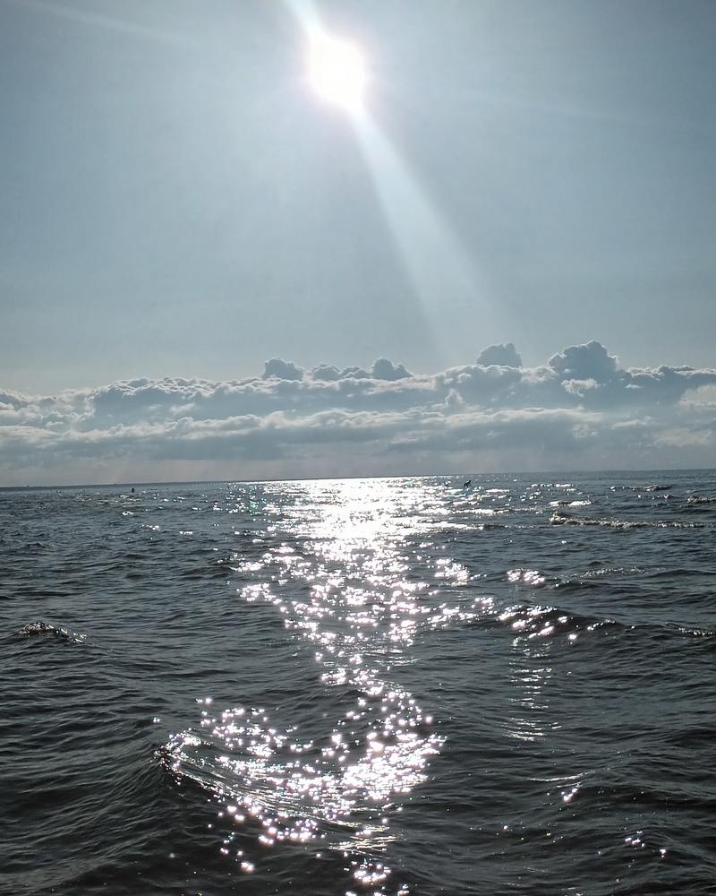 Photograph by Alla Seipulāne