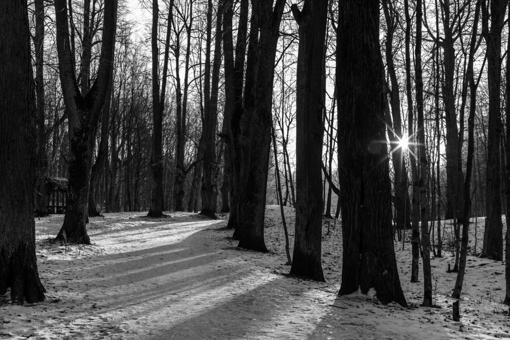 Photograph by Криволуцкий Вячеслав