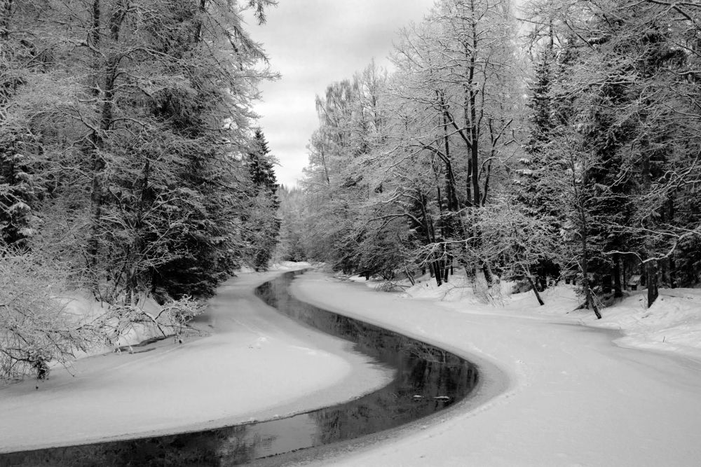 Photograph by Криволуцкий Вячеслав