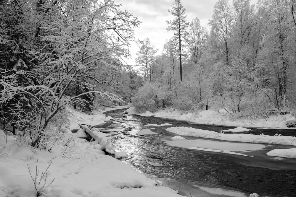 Photograph by Криволуцкий Вячеслав