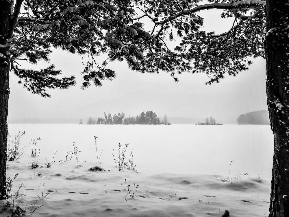 Photograph by Светлана Галкина