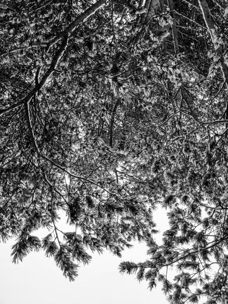 Photograph by Светлана Галкина