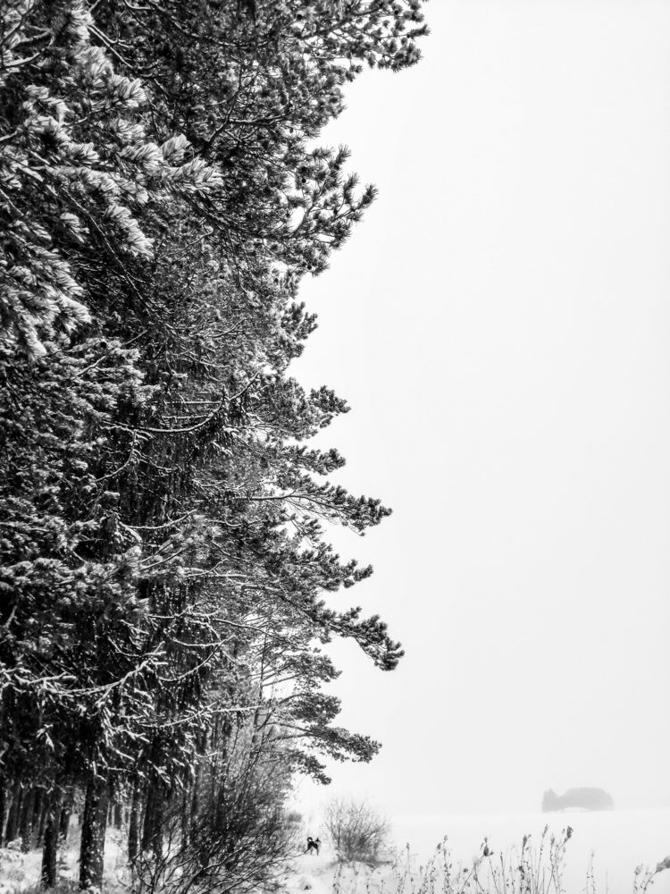 Photograph by Светлана Галкина