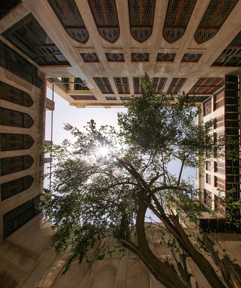 Фотография автора Mojtaba Chenari