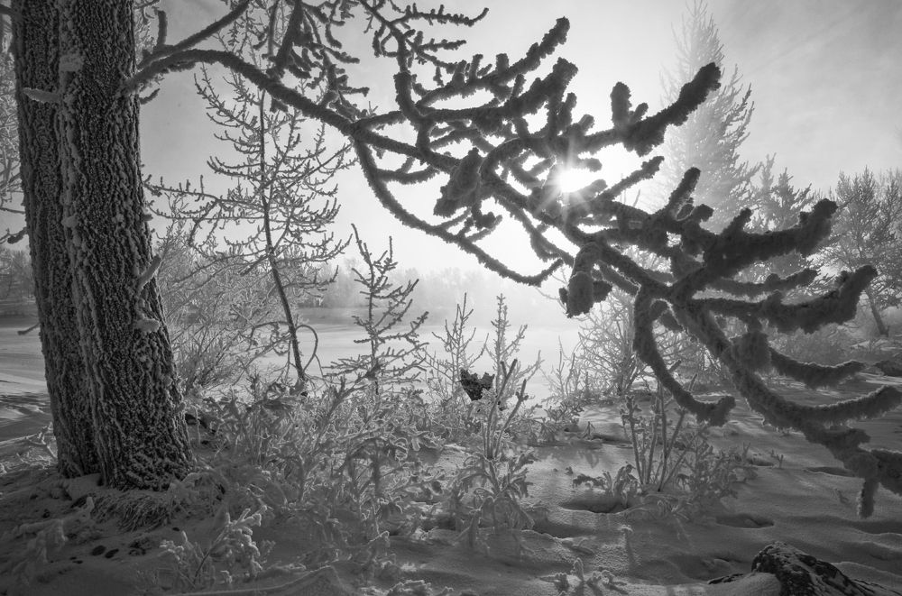 Photograph by Наталья Дроздова