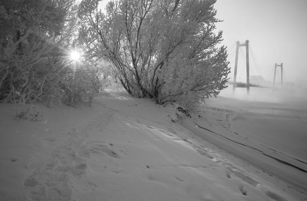 Photograph by Наталья Дроздова