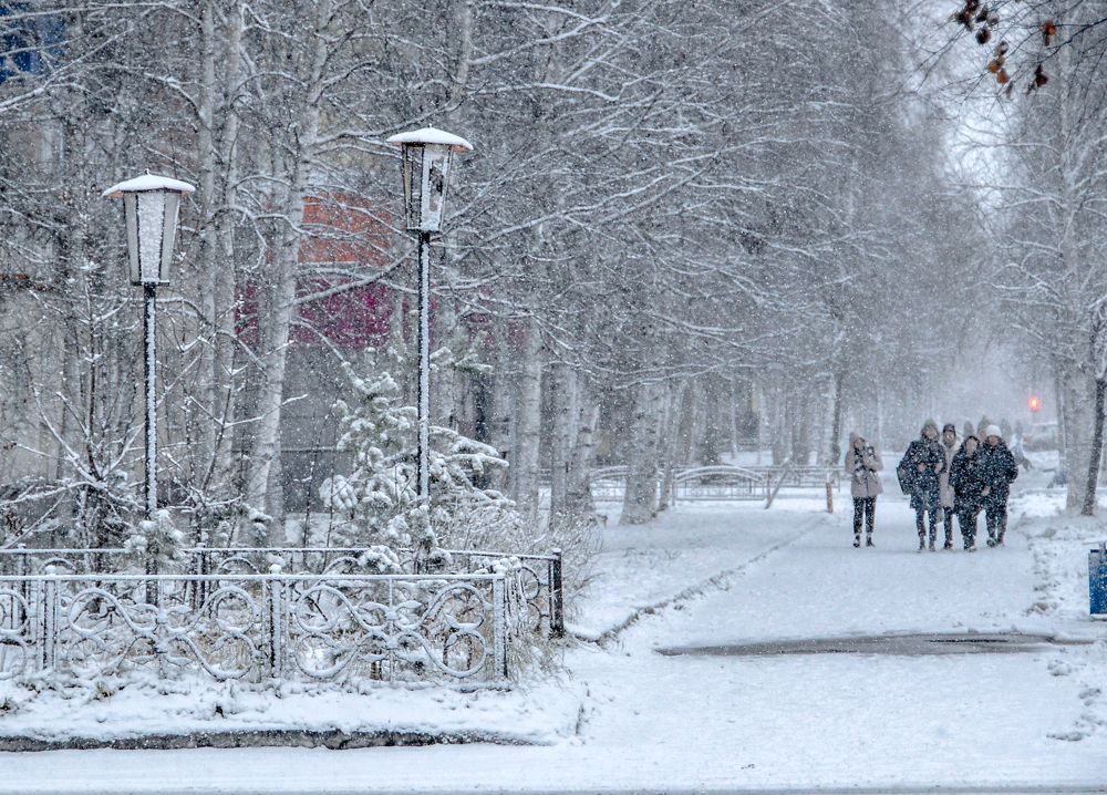 Photograph by Михаил Плецкий