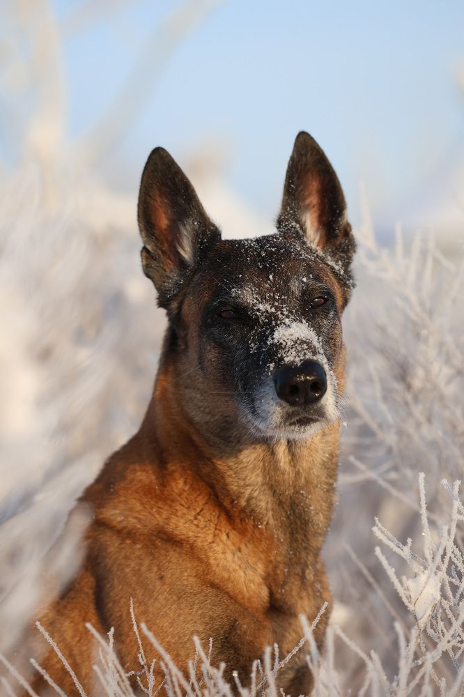 Photograph by Nadezhda