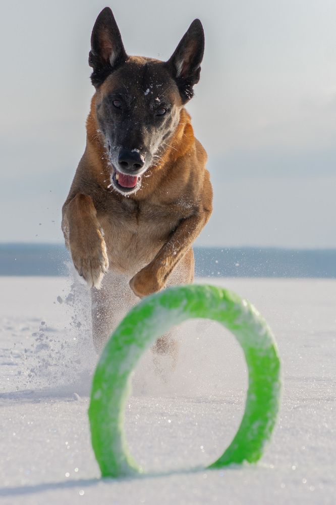 Photograph by Nadezhda