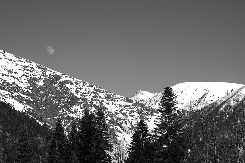 Photograph by Артём Пархоменко