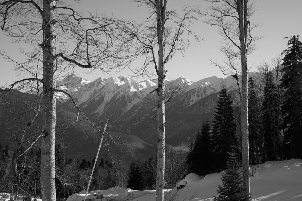 Photograph by Артём Пархоменко