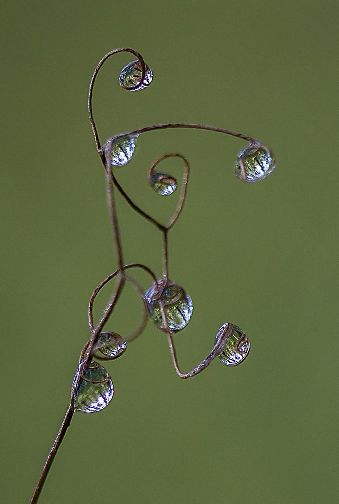 Фотография автора Andrey Pristyazhnyuk