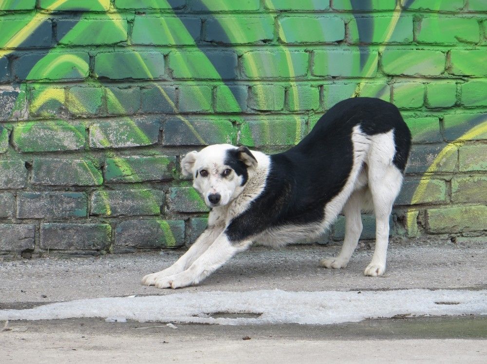 Photograph by Татьяна Поминова