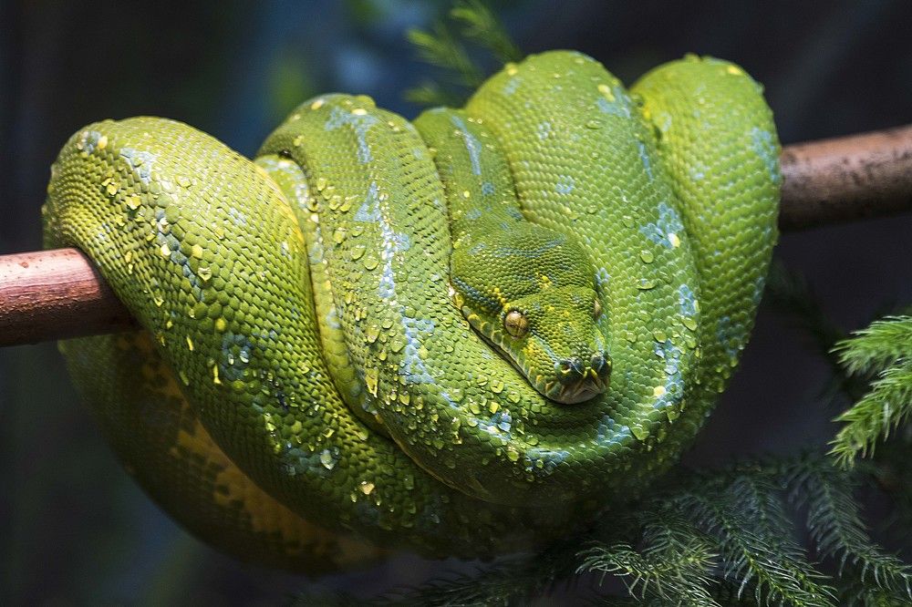 Photograph by ALI Pashang