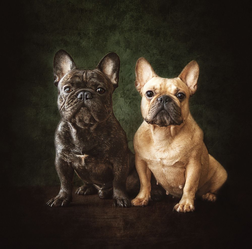 Photograph by Ольга Софронова