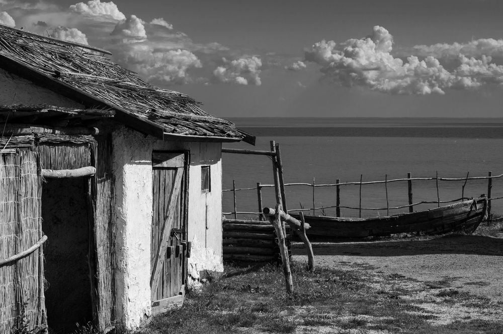 Photograph by Юлия Коротаева