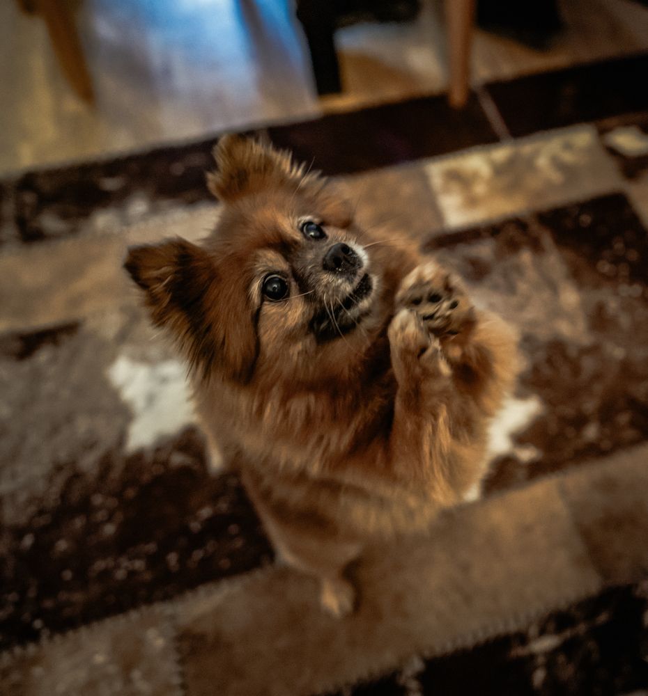 Фотография автора Ruslan Badykov