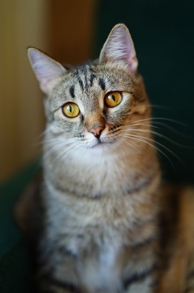 Photograph by Ольга Кушнарева