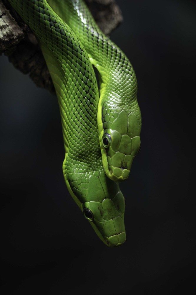 Photograph by ALI Pashang