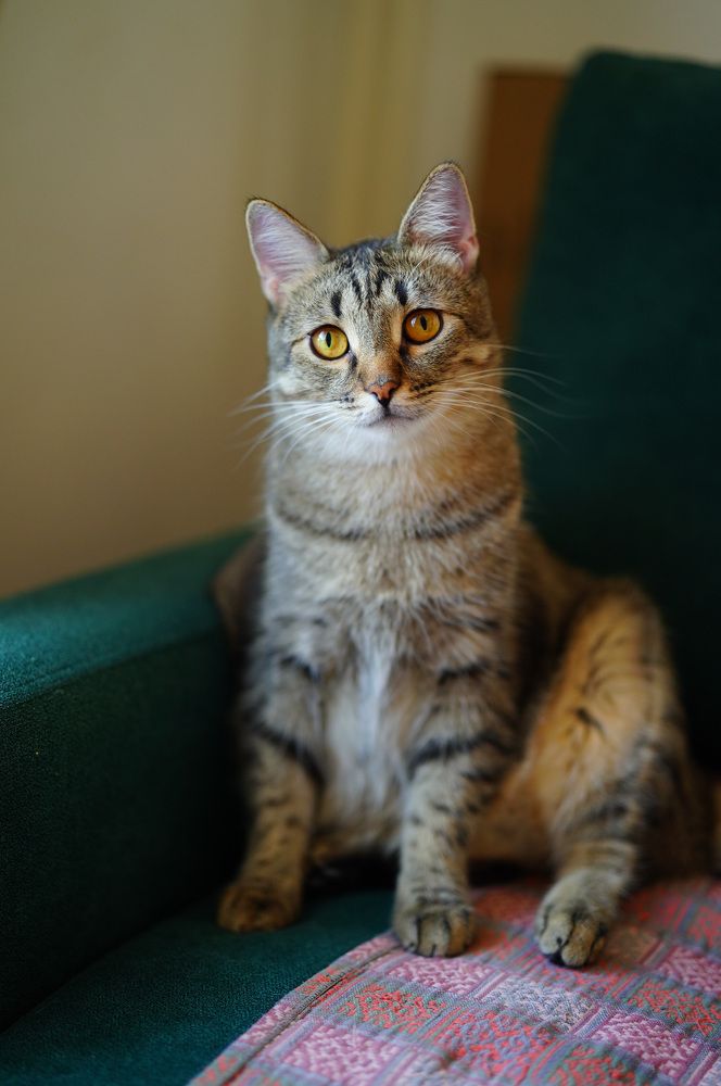 Photograph by Ольга Кушнарева