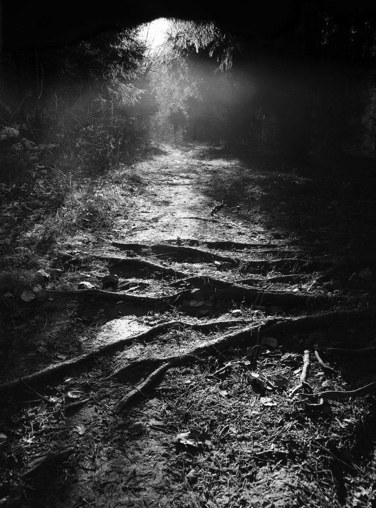 Photograph by Олеся Буланова